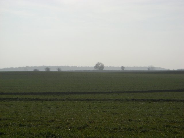 CTF-Seefeld 2008 206